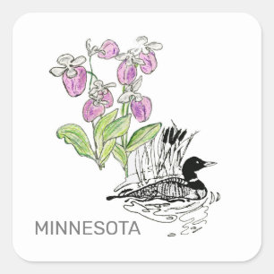 Adesivo Quadrado Pássaros e flores do Minnesota