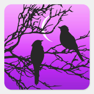Adesivo Quadrado Pássaros em um galho, preto contra roxo selvagem