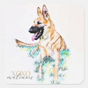 Adesivo Quadrado Pastel de água Pastor Alemão Malinois XOXO
