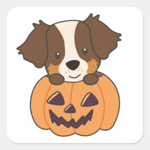 Adesivo Quadrado Pastor Australiano Em Pumpkin Cute Happy