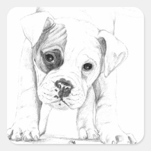 Adesivo Quadrado Patch De Uma Arte De Desenho De Puppy Boxer