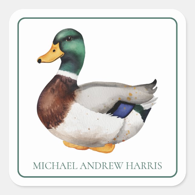 Adesivo Quadrado Pato Mallard de pré-disquete personalizado (Frente)