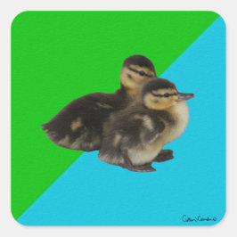 Adesivo Quadrado Patos Bebês em Verde-claro e Azul-Céu