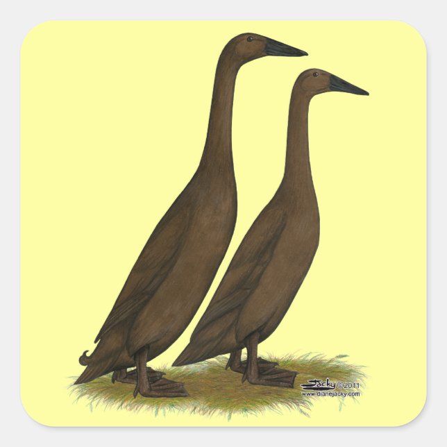 Adesivo Quadrado Patos Corredores de Chocolate (Frente)