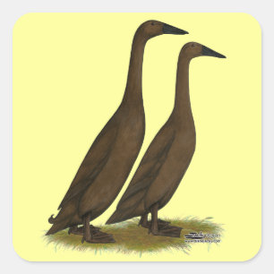 Adesivo Quadrado Patos do corredor do chocolate