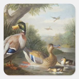 Adesivo Quadrado Patos em uma paisagem do rio