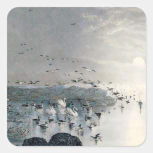 Adesivo Quadrado Patos, Mallards e Cisnes no lago ao pôr do sol