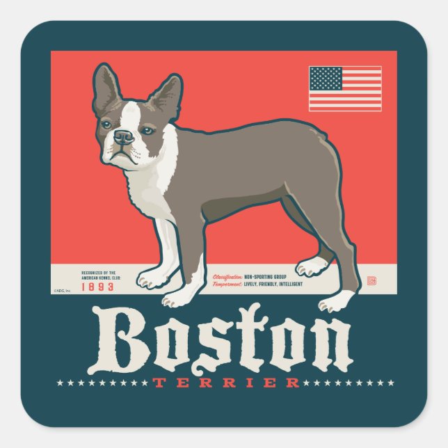 Adesivo Quadrado Patriótico | Boston Terrier (Frente)