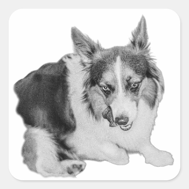 Adesivo Quadrado Patrulha Snack (Frente)