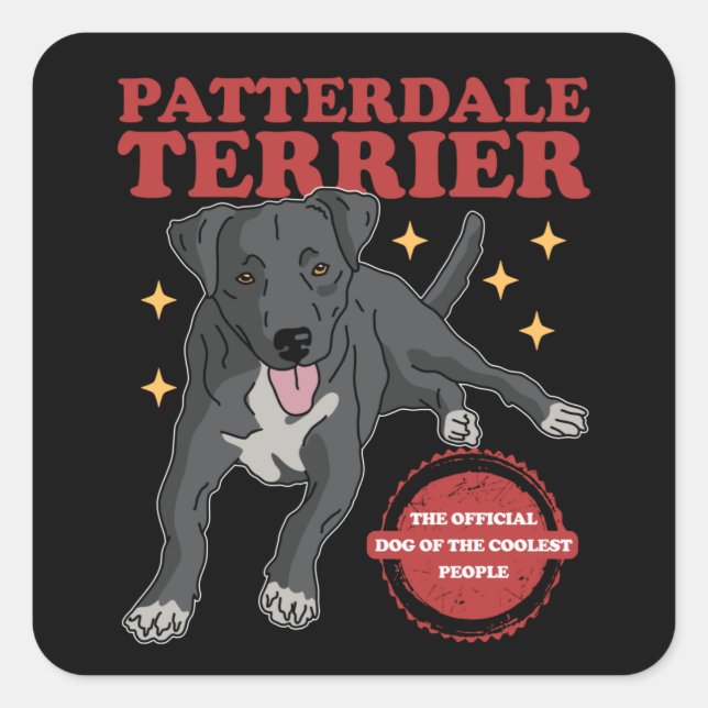 Adesivo Quadrado Patterdale Terrier Dog Of The Coolest Patterdales (Frente)