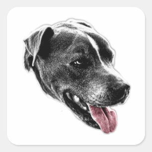 Adesivo Quadrado Pau de Arte da Língua Vermelha Feliz Pitbull Mistu