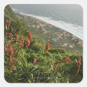 Adesivo Quadrado Paul estraga, Calheta, Madeira, Portugal