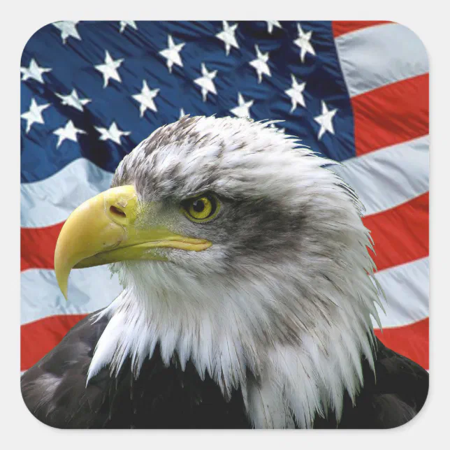 20 melhor ideia de Bandeira americana  bandeira americana, águia  americana, aguia imagens