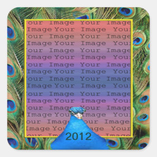 Adesivo Quadrado Pavimentos de Foto de Casamento de Peacock