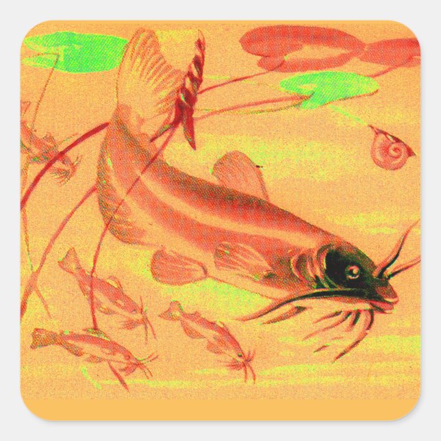 Adesivo Quadrado peixe (Frente)