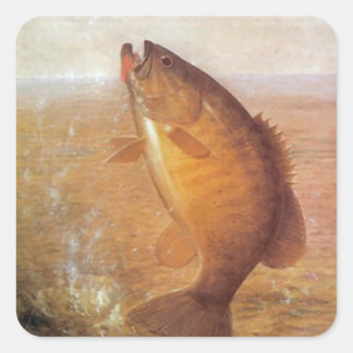 Adesivo Quadrado peixe excelente