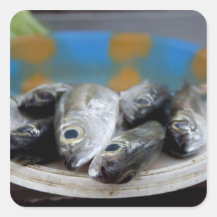 Adesivo Quadrado Peixe fresco no mercado de peixe (Mercado de Peixe