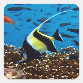 Adesivo Quadrado Peixe tropical