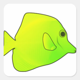 Adesivo Quadrado Peixe-Vara Quadrado