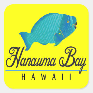 Adesivo Quadrado Peixes do papagaio de Havaí da baía de Hanauma