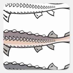 Adesivo Quadrado Peixes raros do esturjão