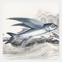 Peixes Voadores Azuis Da Década De 1800 Nas Ondas