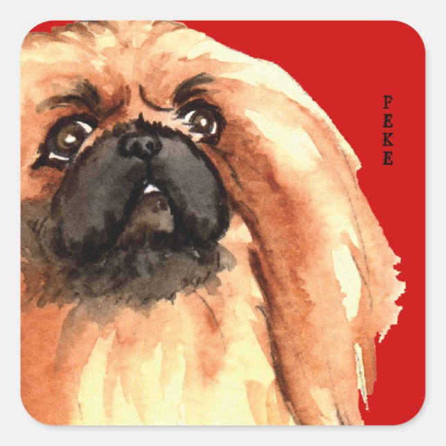 Adesivo Quadrado Pekingese Color Block (Frente)