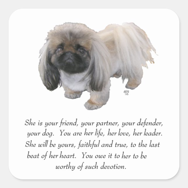 Adesivo Quadrado Pekingese Keepsasasak - FEMALE (Frente)