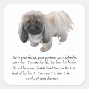 Adesivo Quadrado Pekingese Keepsasasak - MALE