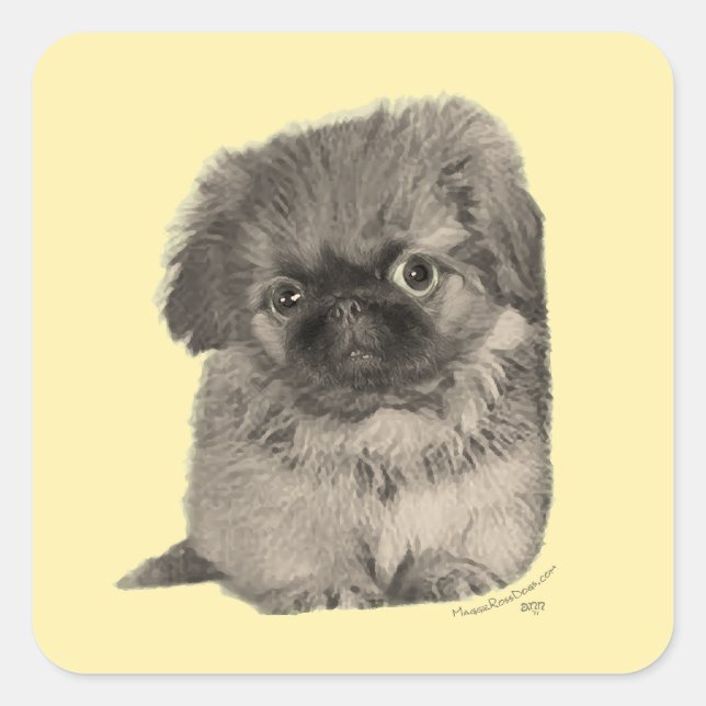 Adesivo Quadrado Pekingese Puppy Amarelo (Frente)