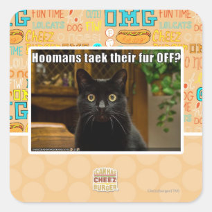 Adesivo Quadrado Pele de Hoomans Taek lá FORA?