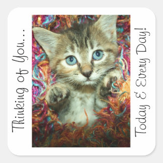 Adesivo Quadrado Pensando em você, Sticker Kitten