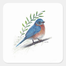 Adesivo Quadrado Pente de Arte de Pássaro Bluebird