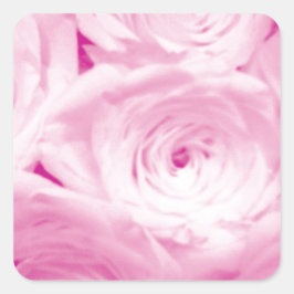 Adesivo Quadrado Pente rosa rosa-rosa-bengala-quadrada para o favor