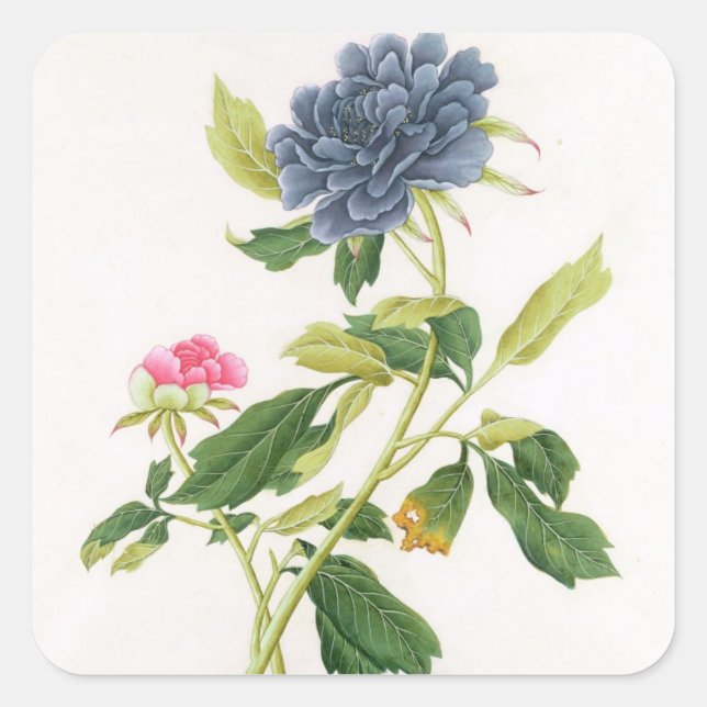 Adesivo Quadrado Peony (Frente)