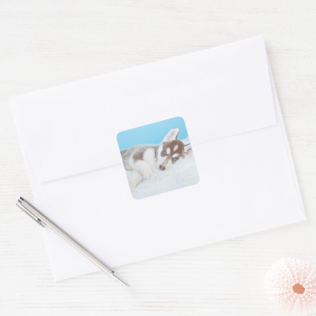 Adesivo Quadrado Pequena Rouco com um cobertor (Envelope)