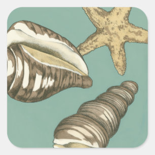 Adesivo Quadrado Pequena Shell Trio no Teal