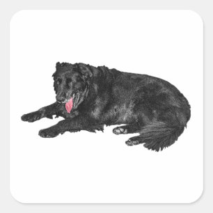 Adesivo Quadrado Pequeno Ember, Cão Negro Leal