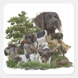 Adesivo Quadrado Pequeno Munsterlander