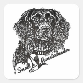 Adesivo Quadrado Pequeno Munsterlander (logótipo)