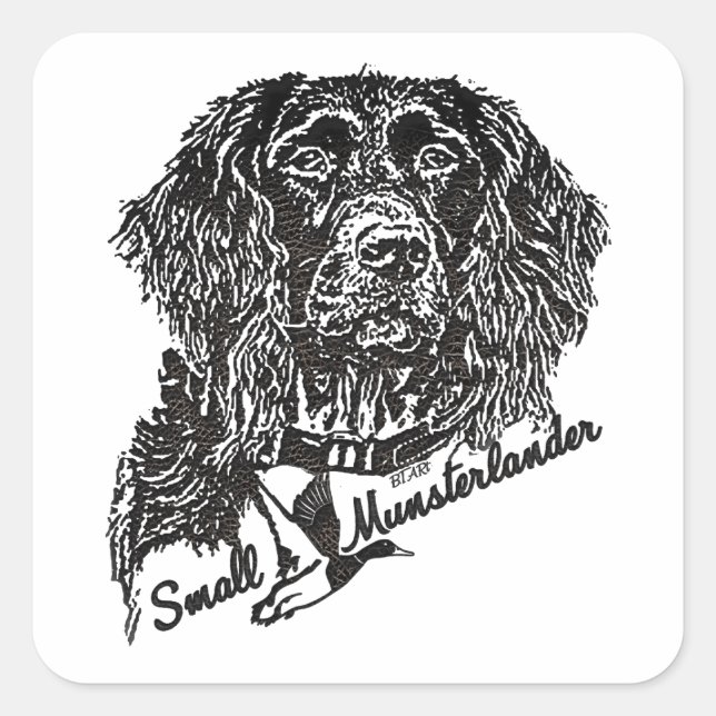 Adesivo Quadrado Pequeno Munsterlander (logótipo) (Frente)