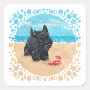 Adesivo Quadrado Pequeno Scottie Encontra um Caranguejo na Praia