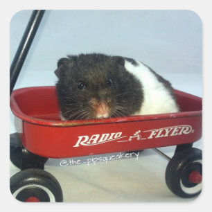 Adesivo Quadrado Pequeno Vagão Vermelho