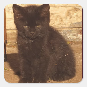 Adesivo Quadrado Pequenos Stickers Pretos