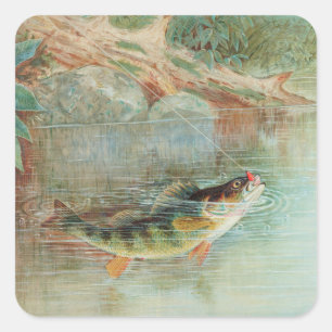 Adesivo Quadrado Perca-amarela por S.A. Kilbourne, Peixe Vintage