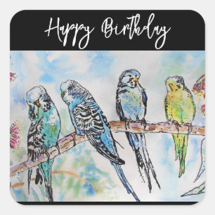 Adesivo Quadrado Periquito Australiano Ave Aquarela Homens Aves