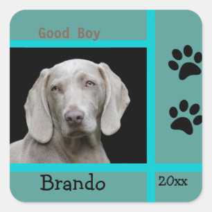Adesivo Quadrado Personalizar Foto Personalizada de Cão