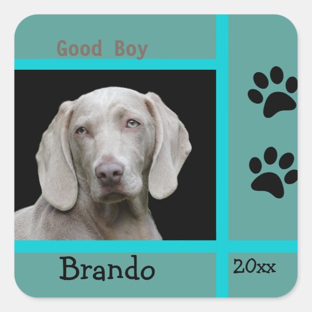 Adesivo Quadrado Personalizar Foto Personalizada de Cão (Frente)