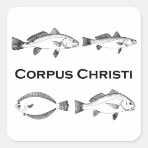 Adesivo Quadrado Pesca Corpus Christi - Peixes De Água Salgada