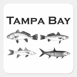 Adesivo Quadrado Pesca da água salgada de Tampa Bay